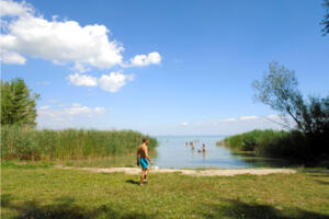 A Balaton trsgben Sifok, Balatonfred, Hvz, Balatonlelle, Keszthely a legkedveltebb ti cl